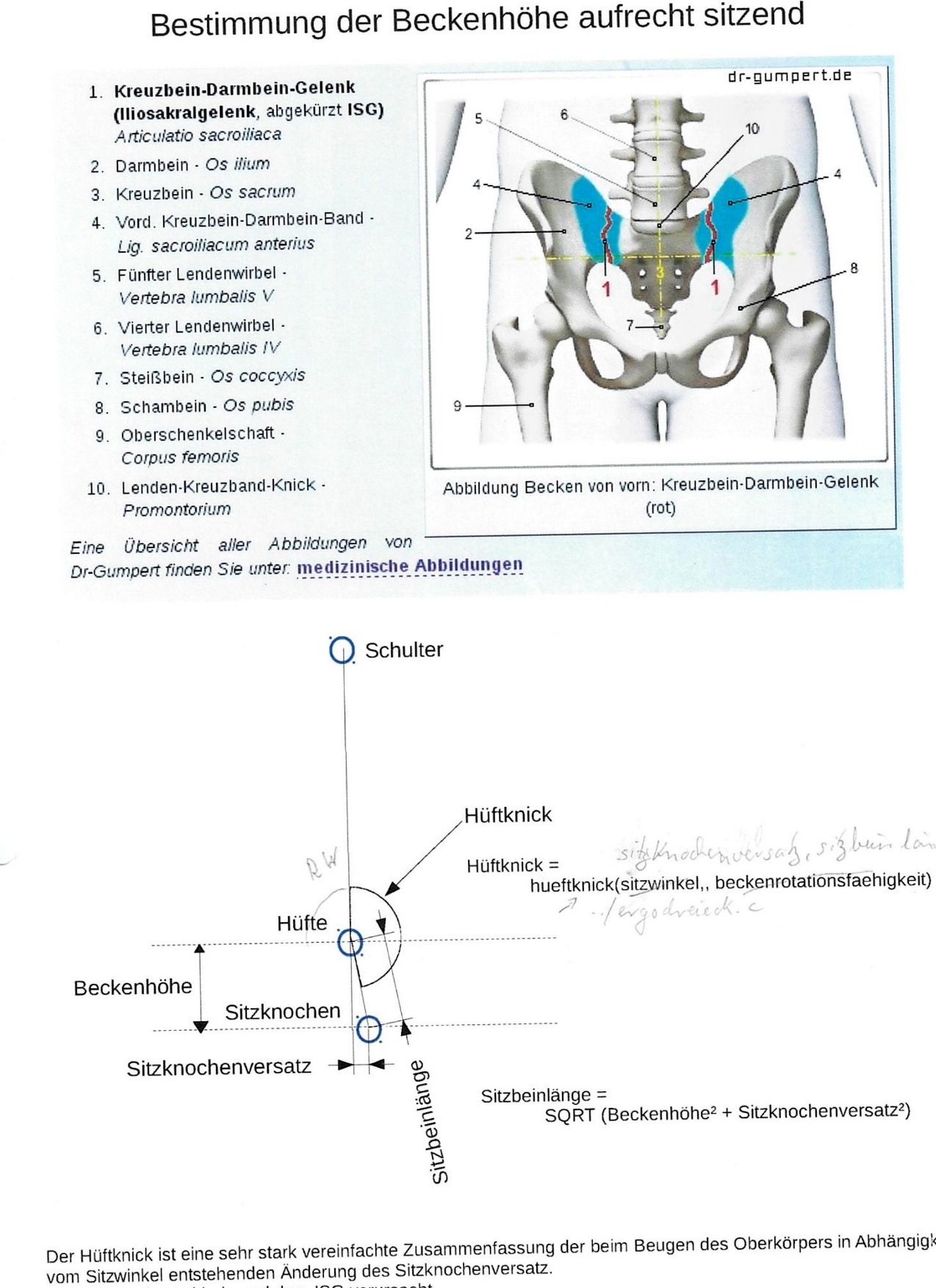 Beckenhöhe und Sitzknochenversatz